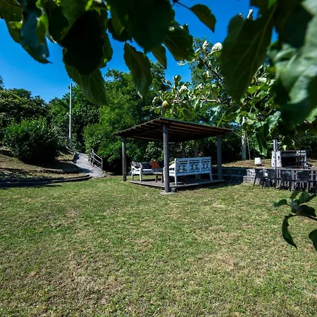 Apartment 204 - Pesco, Giardino E Piscina - Cherry House