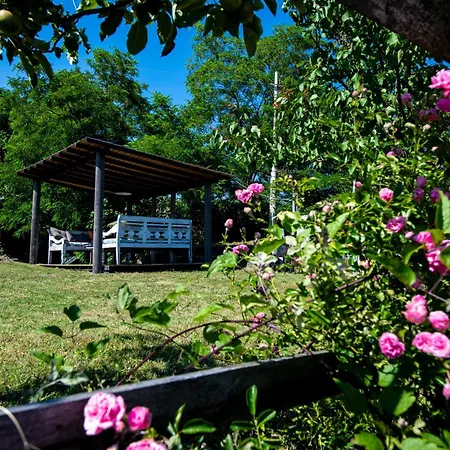 204 - Pesco, Giardino E Piscina - Cherry House Apartment *