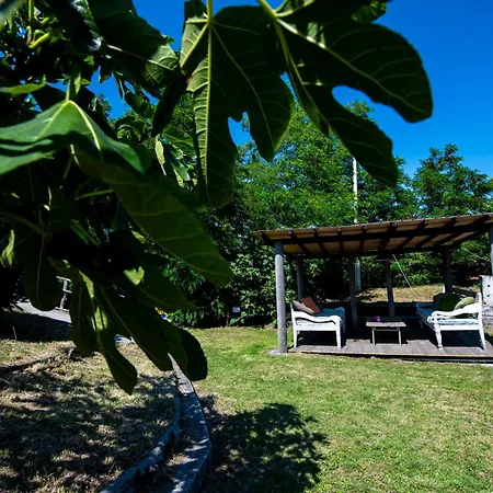 204 - Pesco, Giardino E Piscina - Cherry House *